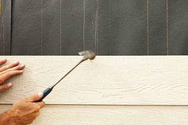 Best Fascia and Soffit Installation  in Double Oak, TX